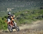 casteu_edo0667_rid