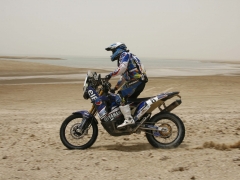 qatar8l